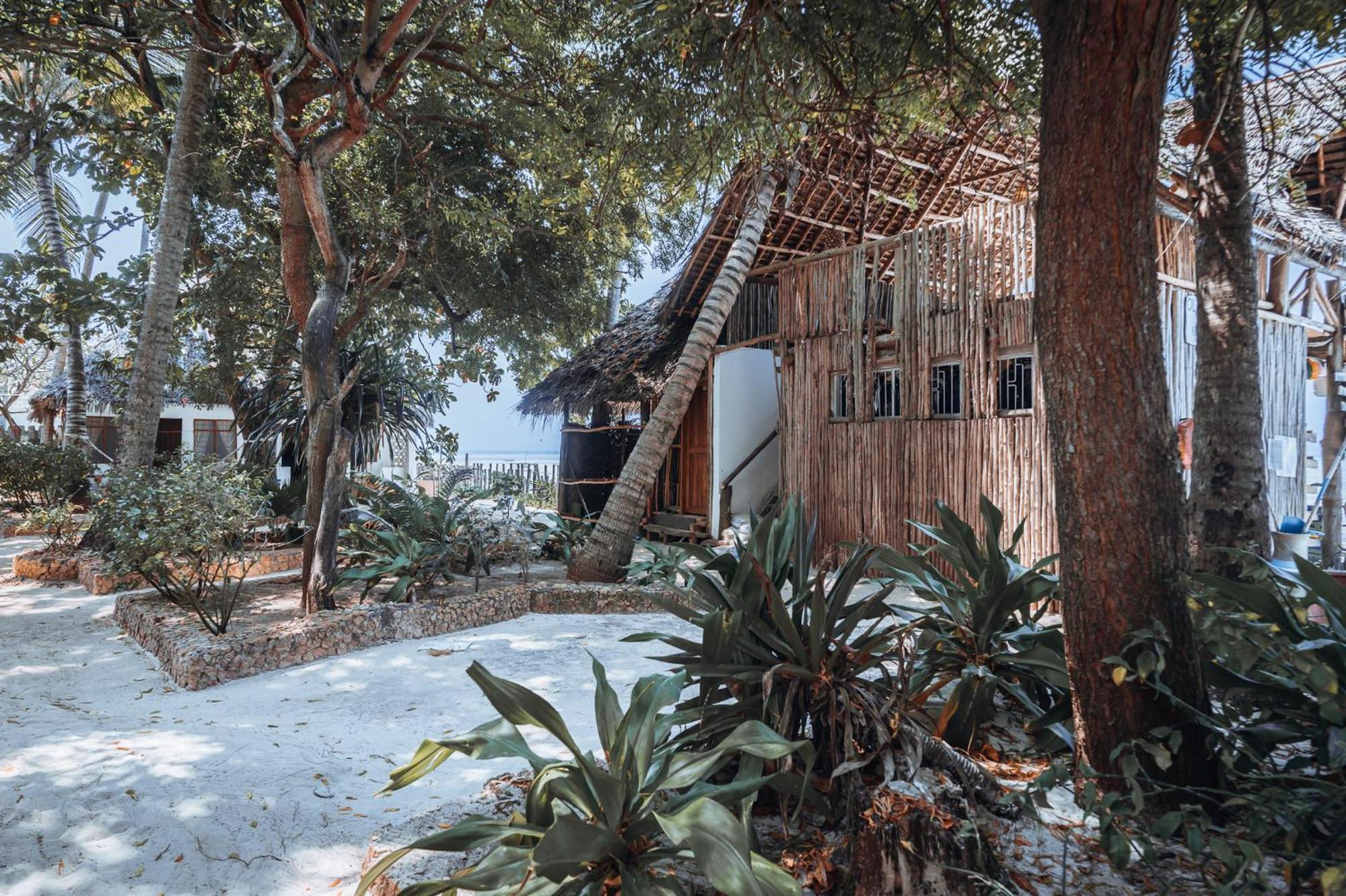 Pili Pili Beach Bungalows Jambiani  Εξωτερικό φωτογραφία